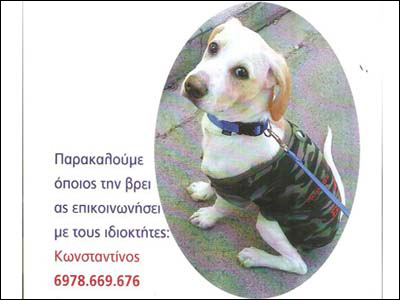 Ψάχνουν τη Ρόξυ!