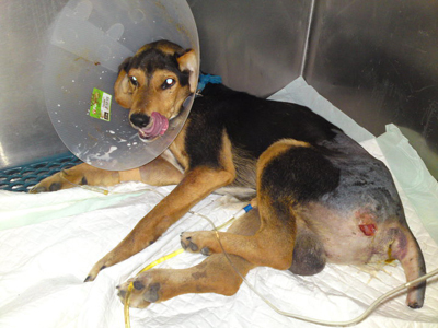 Βοηθήστε οικονομικά τον πολυτραυματία Σταύρο