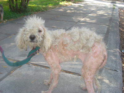 Τσιγκουνεύτηκε τα 10 ευρώ