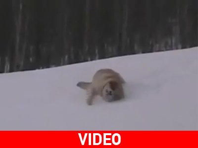 Παιχνίδια στο χιόνι…