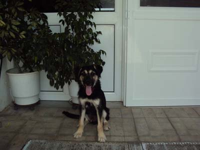 Και ο Τζακ ψάχνει σπίτι