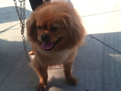 Χάθηκε ή το παράτησαν;