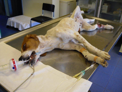 Βοηθήστε στα έξοδα της εγχείρησης