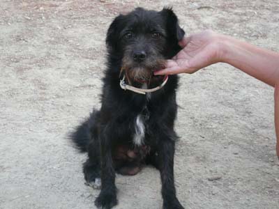 Τον παράτησαν και ψάχνει σπίτι