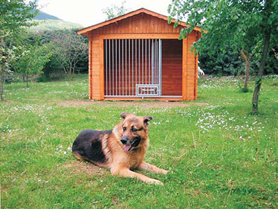 Ζητούν σκυλόσπιτα και εθελοντές