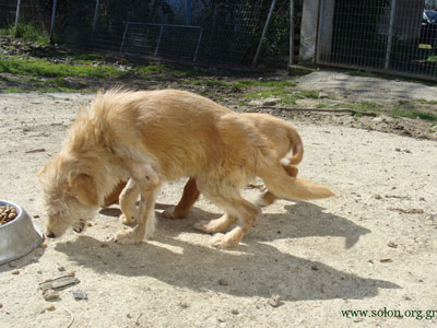 Ο Ιώβ τη γλύτωσε…