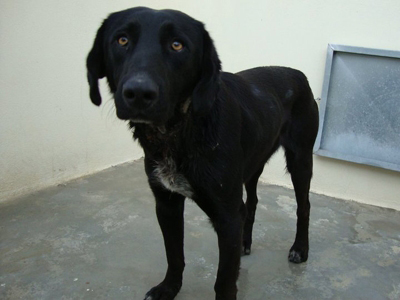 Το λάθος ανθρώπινο, οι διευκρινίσεις απαραίτητες