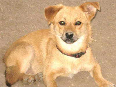 Χαρίζουν τον Χάρη