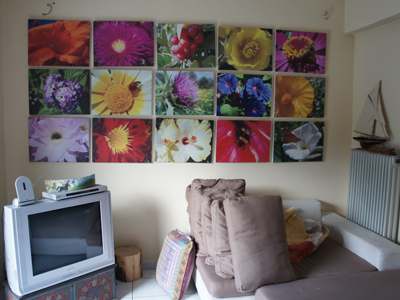 Απαλλάσσονται της έκδοσης πιστοποιητικού ιδιοκτησίες κάτω των 50 τ.μ.