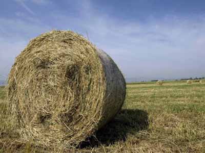 Χτίστε μόνοι σας το σπίτι σας