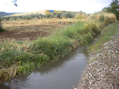 Στην βροχή οι ρυπαντές χαίρονται…