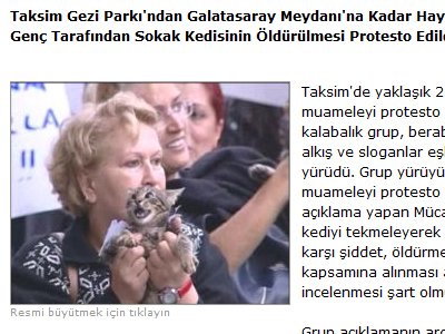 Διαμαρτυρία υπέρ των ζώων στην Τουρκία