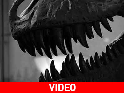 Μίνι φονική «μηχανή» με σαγόνια