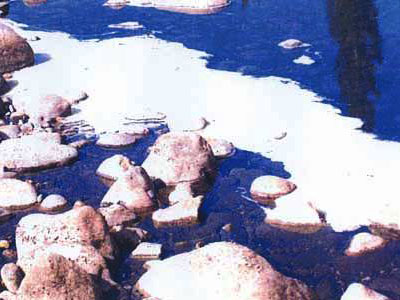 Ρυπαίνουν με υπολείμματα τυρόγαλου το ποτάμι