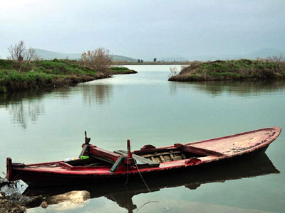 Ξεκίνησε η αλίευση της γάμπαρης