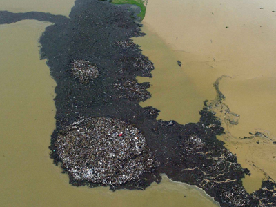 Και ψόφια ψάρια στη Βόλβη