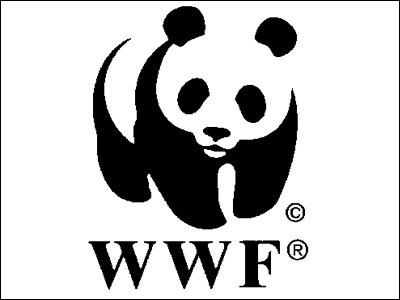 Οδηγίες και εργαστήρια για το περιβάλλον από το WWF