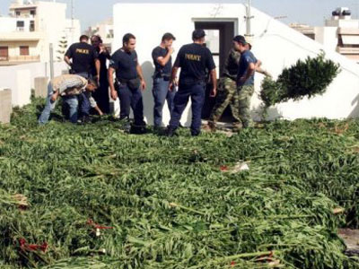 Θερμοκήπιο με χασίς στην ταράτσα του σπιτιού τους