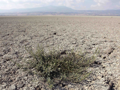 Σοβαρές οι επιπτώσεις της κλιματικής αλλαγής για την Κύπρο