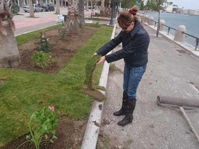 Ξόδεψαν για φυτά 195.000 ευρώ