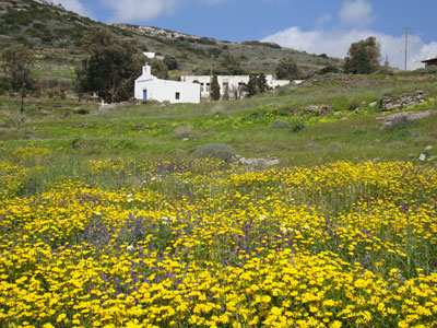 Τον πυροβόλησαν εξαιτίας κτηματικών διαφορών