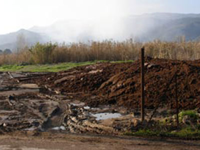 Γλιστρούν λόγω πυρήνα