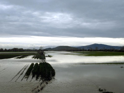 Ζημιές προκάλεσε η βροχόπτωση