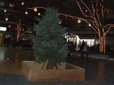 Έκλεψαν ακόμη και τα στολίδια