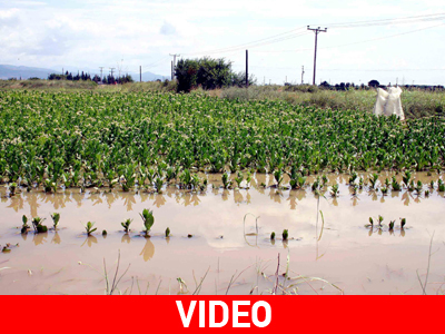 Μεγάλες καταστροφές σε καλλιέργειες στο Τυχερό