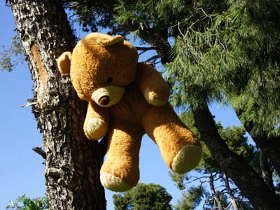 Αυστηρότερες ποινές για τους βασανιστές ζώων – Τέλος στα τσίρκο