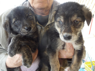 Χαρίζονται η Μπόνι και ο Κλάιντ