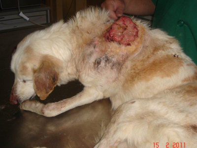 Τον άφηναν να σαπίζει από την αρρώστια του