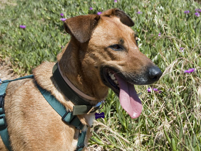 Και ο Jordan ψάχνει σπίτι!