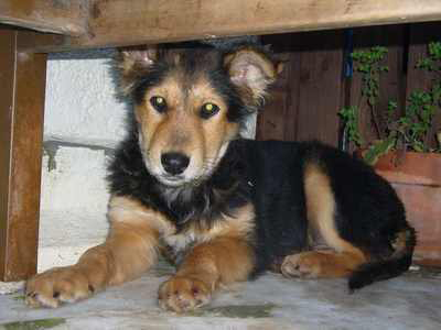 Χαρίζουν τον πανέμορφο Jude