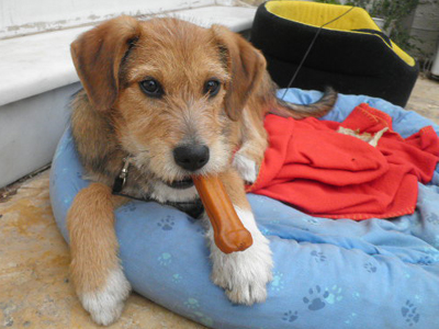 Ψάχνει σπίτι…