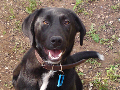 Χαρίζουν την Μπλάκη