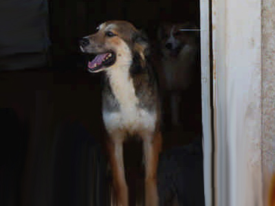 Η Ιζαμπέλα χαρίζεται