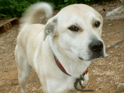 Τη βρήκαν στην Αγία Παρασκευή