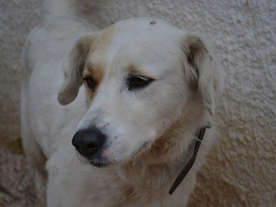 Η Princess είναι σκέτη γλύκα!