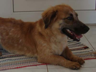 Χαρίζει τη θηλυκή «πυξίδα»