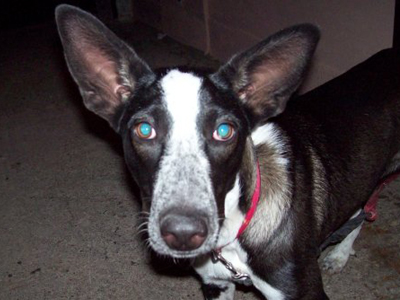 Χαρίζουν τη Ρούμπι