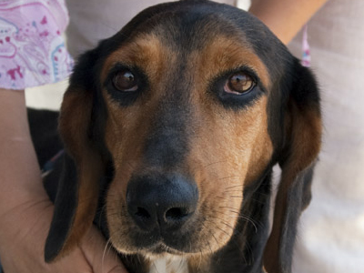 Η Ζωίτσα τα κατάφερε