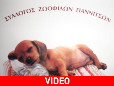 S.O.S. για τα ζώα στα Γιαννιτσά