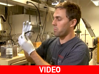 Ο ιππόκαμπος στην υπηρεσία της ιατρικής τεχνολογίας