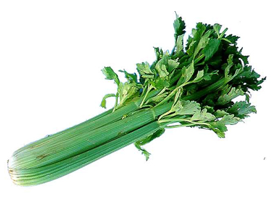 Το σέλινο βάζει «φρένο» στην απώλεια μνήμης