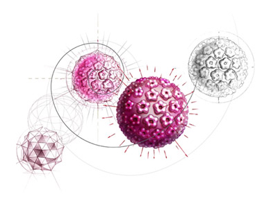 Ο HPV ένοχος για πολλούς καρκίνους