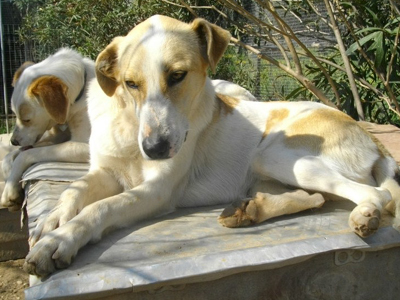 Μια οικογένεια για τη γλυκιά Ιουλία
