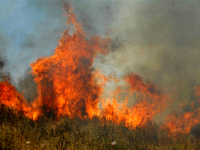 Μικρή δασική πυρκαγιά στον Σχοινιά