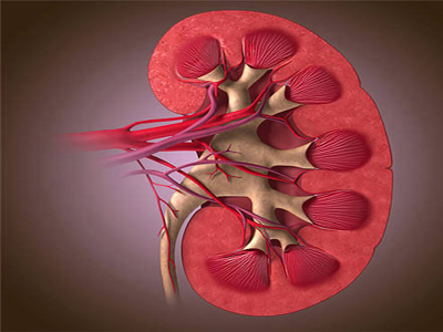 Παγκόσμια Ημέρα Νεφρού