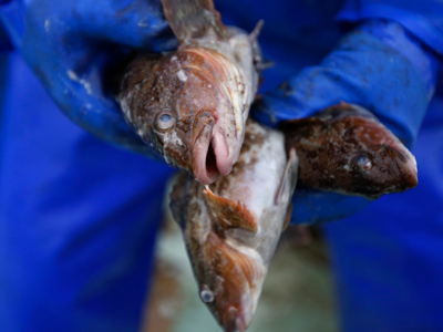 Oργισμένοι οι ψαράδες για το μολυσμένο νερό